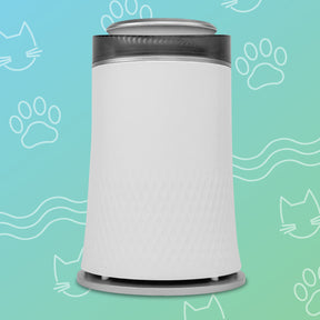 Abby Fresh™ | The Pet Air Purifier