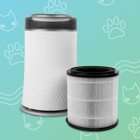 Abby Fresh™ | The Pet Air Purifier